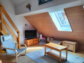 Charmant T2 à Villard-de-Lans, proche centre, balcon sud, parking privé, idéal pour 4-6 pers. - FR-1-761-20